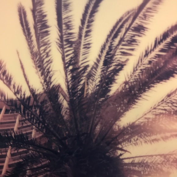 Meet your Posher, Samantha - Picture 1 of 1